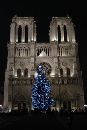 Paris Christmas market and Christmas lights paris-christmas-03