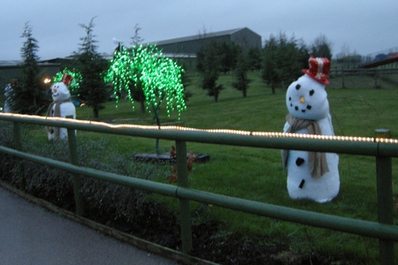 Snowman Christmas decorations at Twinlakes Park Christmas special