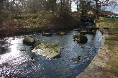 River and ducks at Cannon Hall Country Park
