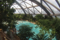 Subtropical swimming paradise at Center Parcs