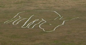 Shape of a donkey at the Sidmouth Donkey Sanctuary