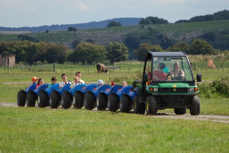 Barrel (tractor) ride at Ducky's Farm