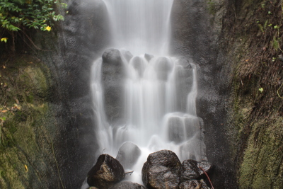 Eden project Biome Waterfall