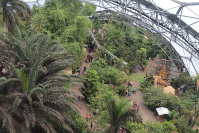 View from high platform in Eden Project African Biome