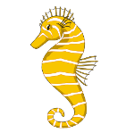 Picture to print for large underwater sea picture - seahorse