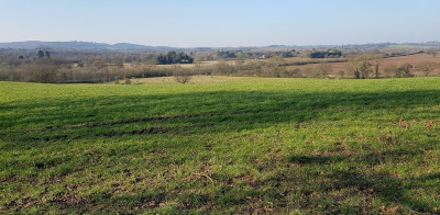 View from walk - Alvechurch and Rowney Green Walk