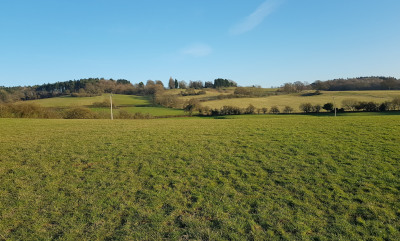 View from walk - Alvechurch and Rowney Green Walk