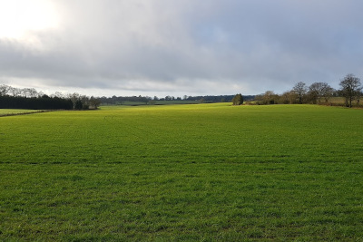 Fields near Bank's Green on walk