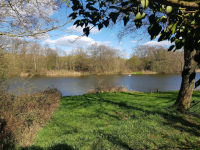 Walk in Worcestershire - Barnt Green Lickey Hills view of Lower Bittell Reservoir