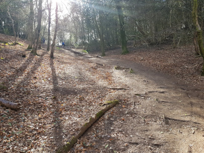 Walk in Worcestershire - Barnt Green Lickey Hills Circular Walk - Uphill towards Lickey Hills