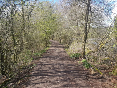 Walk in Worcestershire - Earlswood Lakes