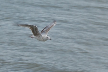 Holiday at Butlins Minehead butlins10-41