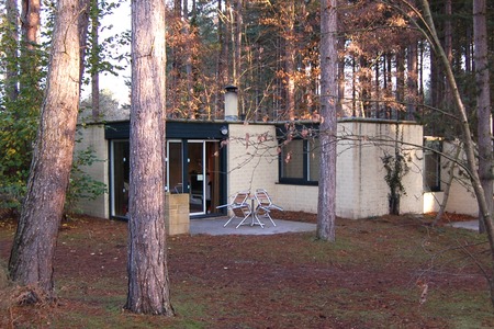 Center Parcs Sherwood Forest - Countdown to Christmas 09centerparcs-24