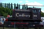 camping4-cadburyworld15
