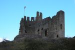 Dudley zoo and castle