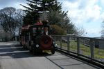 dudleyzoo-02
