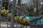 dudleyzoo-13