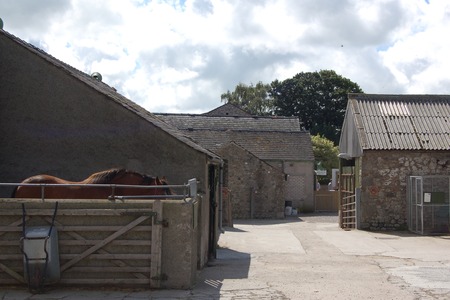 Greenlands Farm Village childrenfarm15