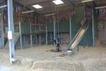 Greenlands Farm Village