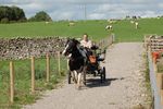 childrenfarm28
