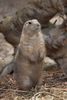 London Zoo