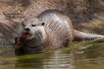 londonzoo18