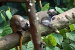 londonzoo19