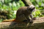 londonzoo21