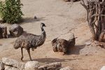 londonzoo29