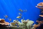 londonzoo31