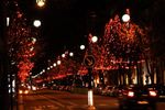 Paris Christmas market and Christmas lights