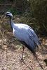 twycrosszoo10