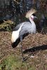 twycrosszoo12