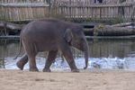 twycrosszoo16