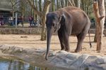 twycrosszoo17