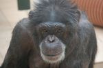 twycrosszoo23