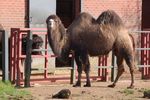 twycrosszoo24