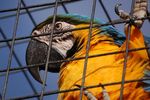 twycrosszoo27