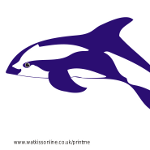 Picture to print for large underwater sea picture - dolphin