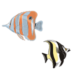 Picture to print for large underwater sea picture - fish