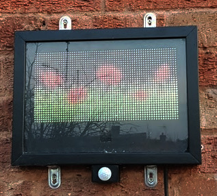 Raspberry Pi RGB LED Matrix Display - showing field of poppies