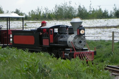 Iron Moose express train at Twinlakes family theme park in leicestershire