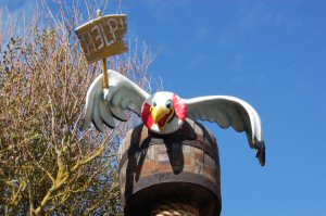 Weymouth Sea Life Centre, Sea Gull